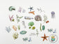[CLEARANCE]  Under the sea Die Cut Sticker