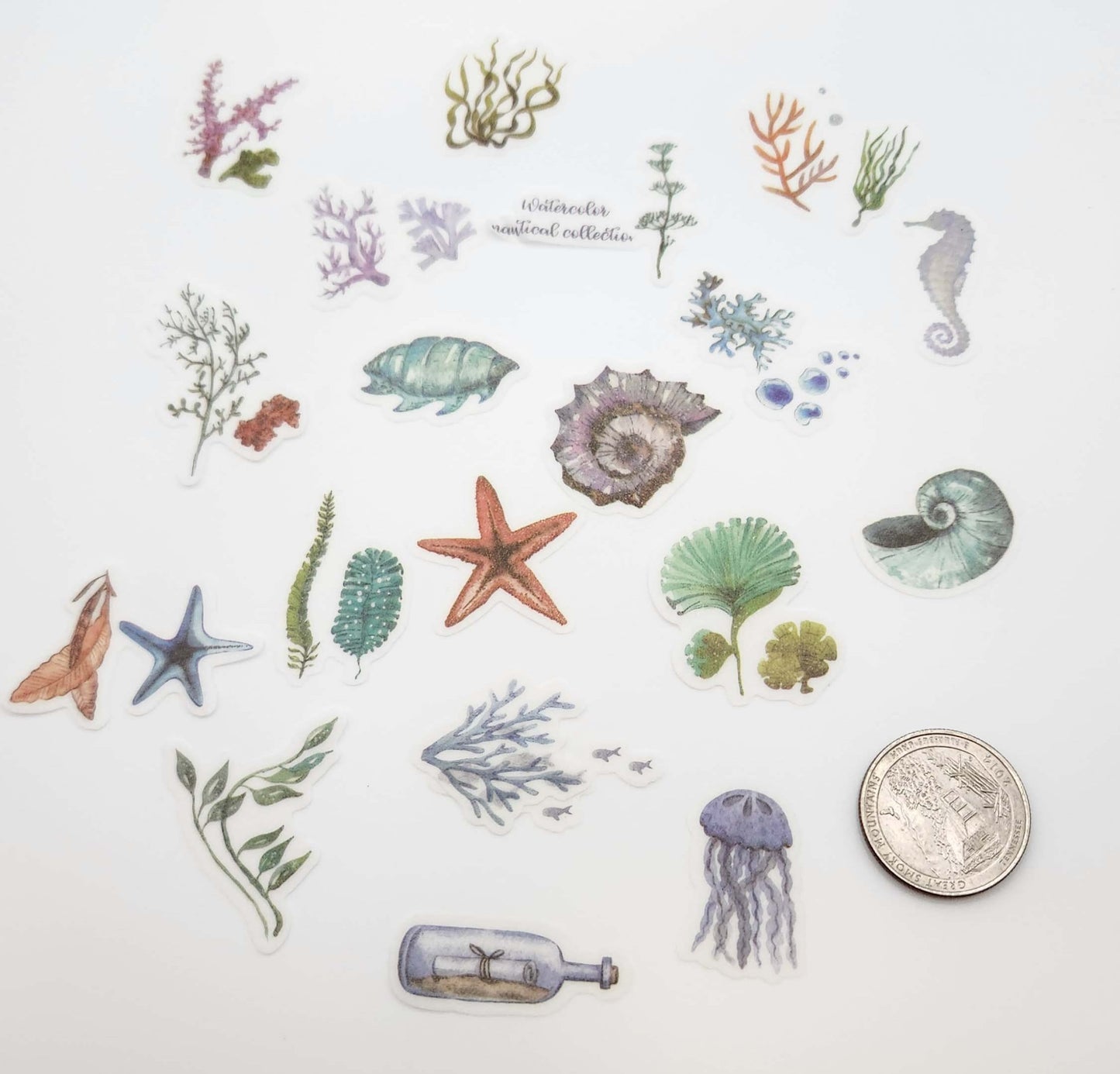 [CLEARANCE] Die Cut Sticker - Under the sea