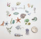 [CLEARANCE] Die Cut Sticker - Under the sea