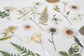 [CLEARANCE] Flower Garden Stickers, Clear Die Cute Flower - White Flower