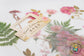 [CLEARANCE] Flower Garden Stickers, Clear Die Cute Flower - Pink Flower