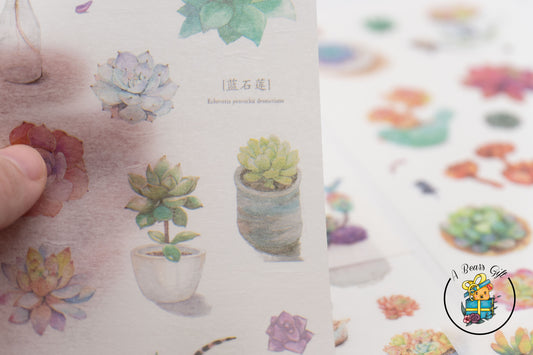 Succulent Garden Sticker Sheet - 1PC