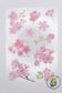 [CLEARANCE] Cherry Blossom Stickers #1