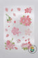 [CLEARANCE] Cherry Blossom Stickers #5